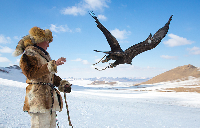 winter eagle hunting in mongolia 